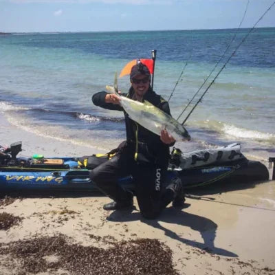 Portland Kingfish