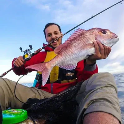 Early Season Snapper