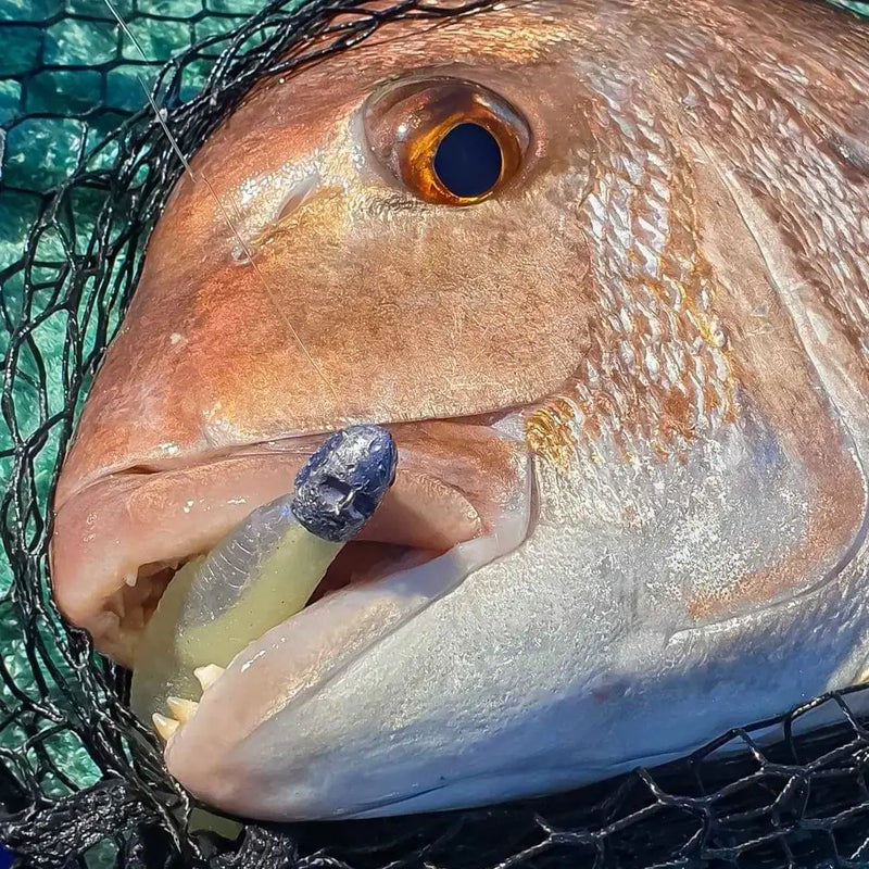 BerleyPro ambassador on the water